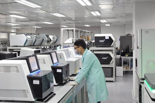 清明節(jié)放假安排來啦 新冠病毒疫苗即將進(jìn)入動物攻毒保護(hù)試驗