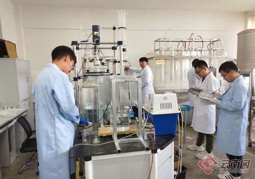 追夢綠水青山 看昆明理工大學(xué)科研團隊如何低碳減排創(chuàng)發(fā)展